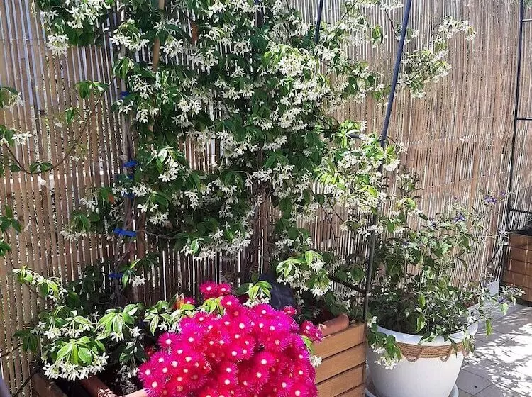 پانسیون Smartfit House