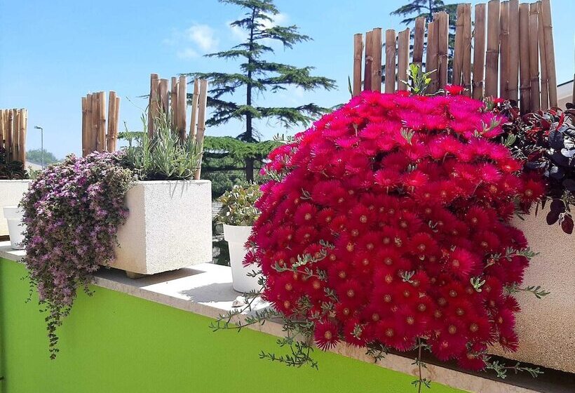 پانسیون Smartfit House