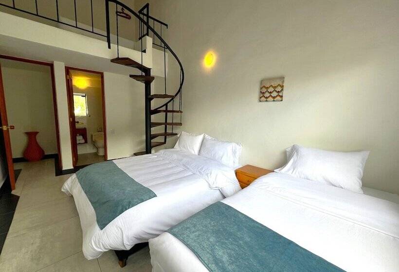 בית מלון כפרי Villa Macondo