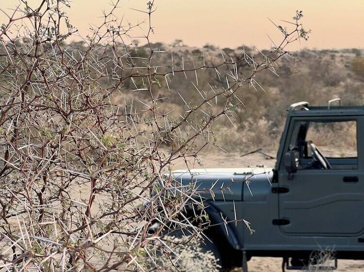 Kaner Retreat - India's First Desert Botanical Resort