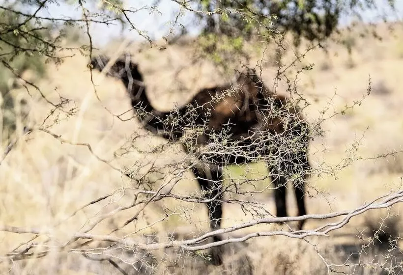 Kaner Retreat - India's First Desert Botanical Resort