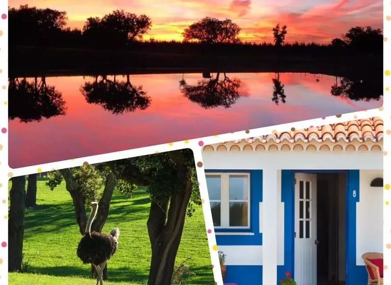 ペンション Monte Do Lago, Pegões