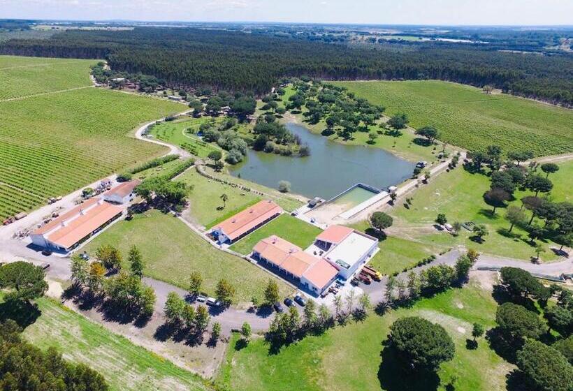 פנסיון Monte Do Lago, Pegões