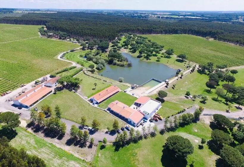 ペンション Monte Do Lago, Pegões