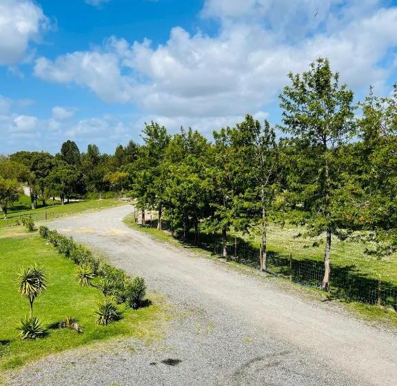 פנסיון Monte Do Lago, Pegões