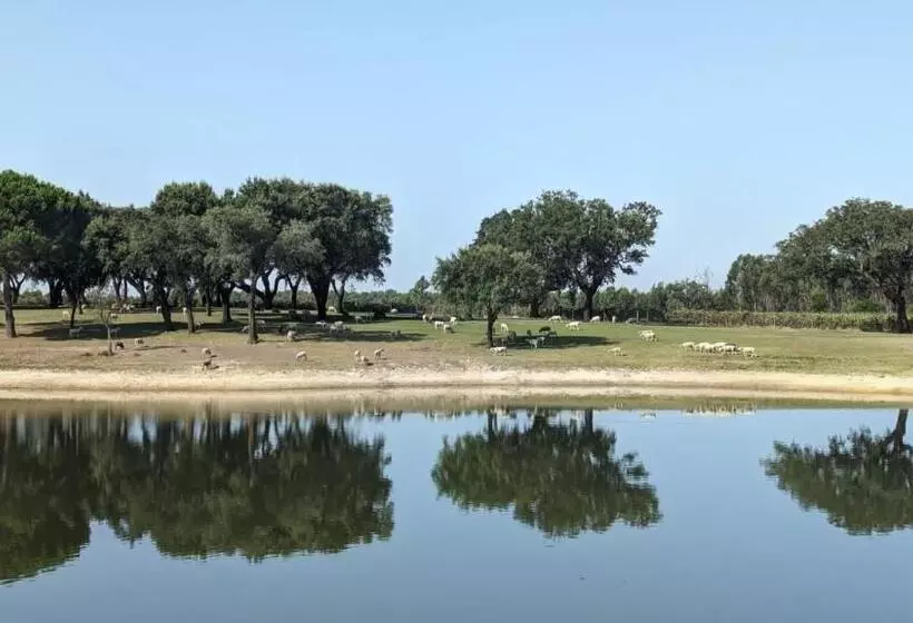 ペンション Monte Do Lago, Pegões