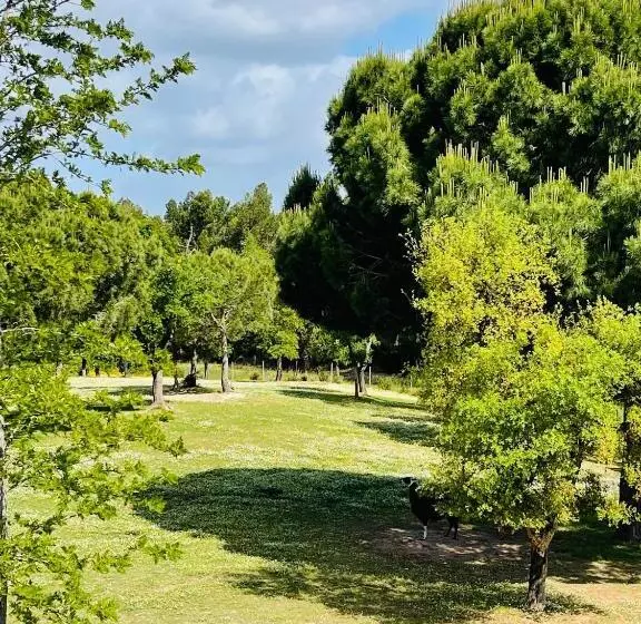 ペンション Monte Do Lago, Pegões