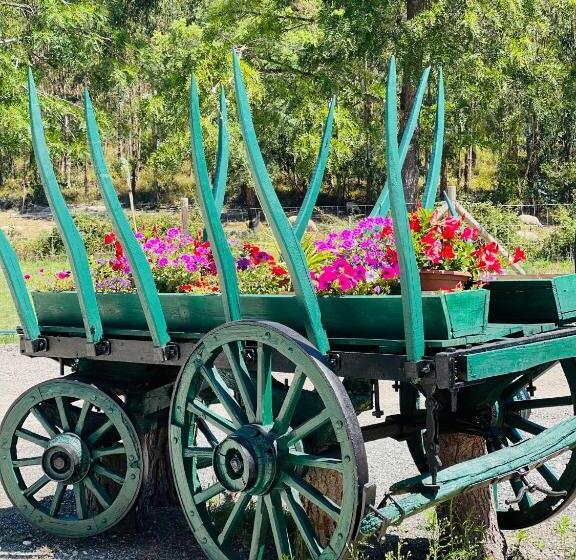 פנסיון Monte Do Lago, Pegões