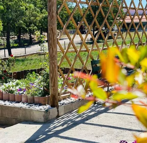 ペンション Monte Do Lago, Pegões