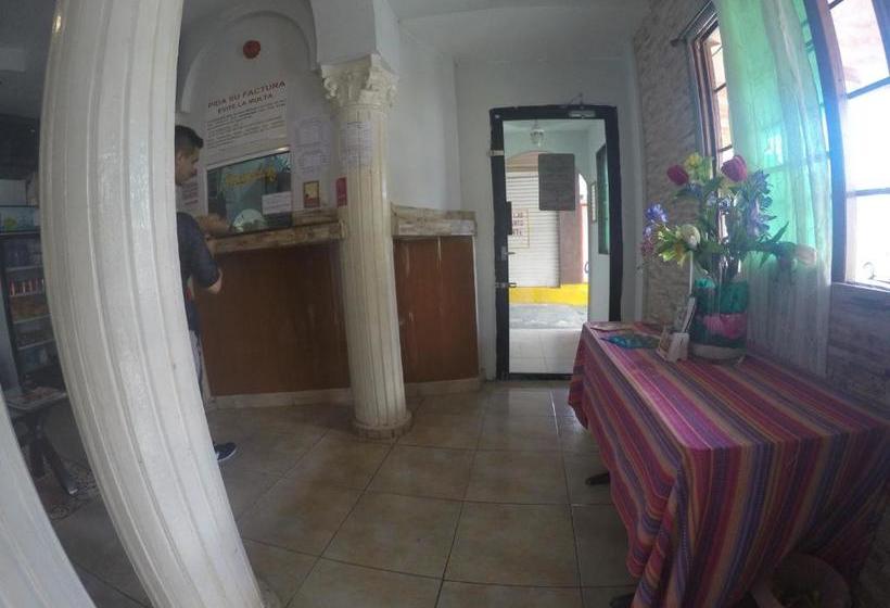 הוסטל Backpacker Inn