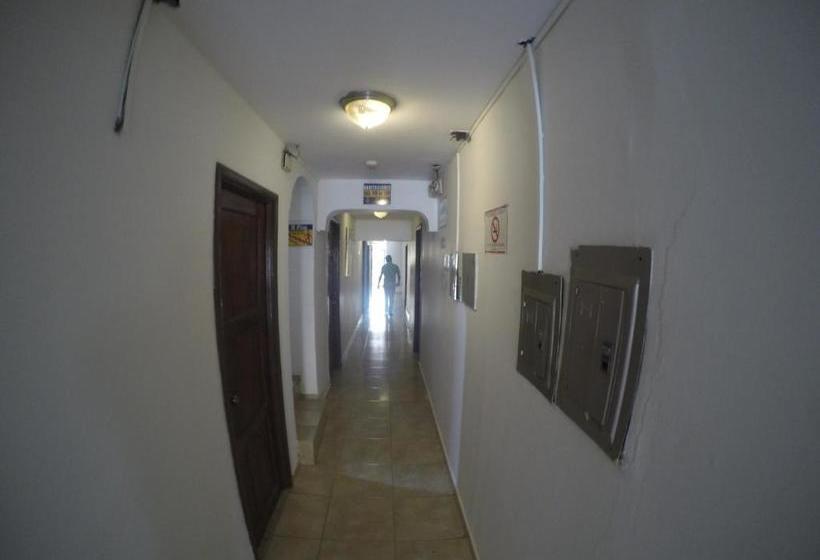 הוסטל Backpacker Inn