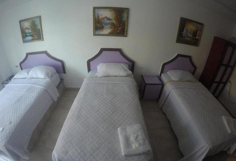 הוסטל Backpacker Inn