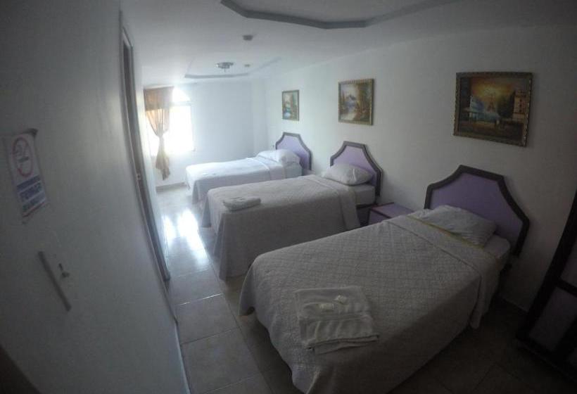 הוסטל Backpacker Inn