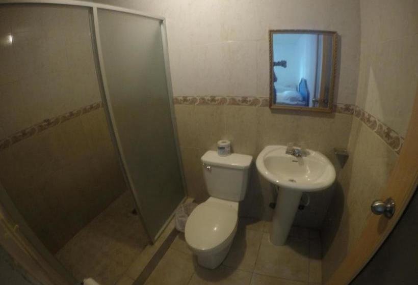 הוסטל Backpacker Inn