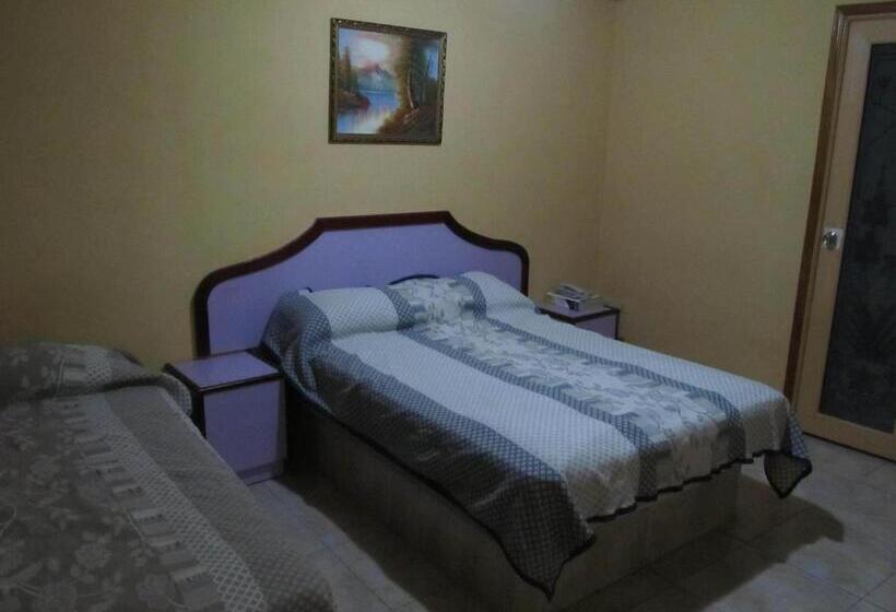 הוסטל Backpacker Inn