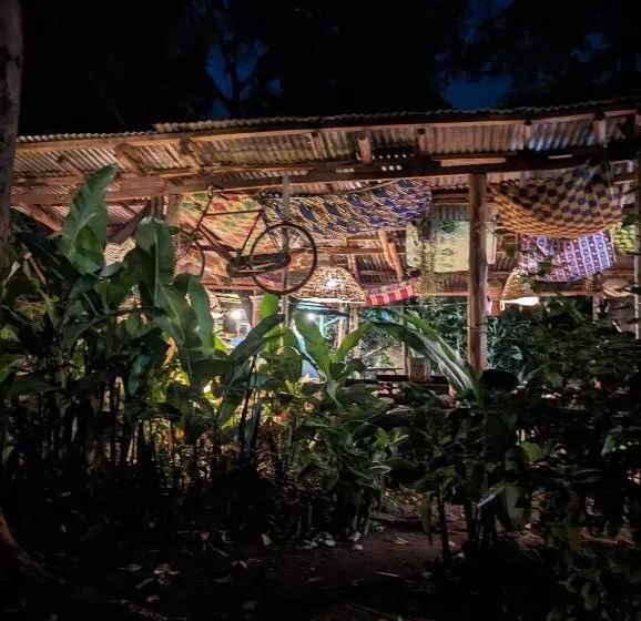 Backyard Hostel