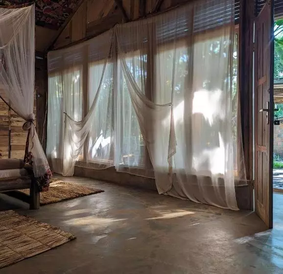 Backyard Hostel