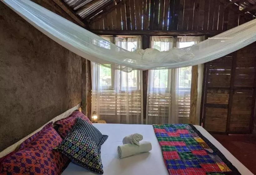 Backyard Hostel