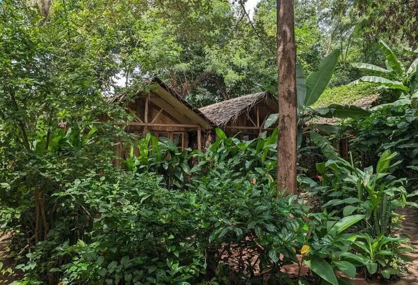 Backyard Hostel