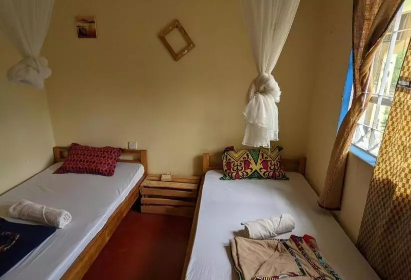 Backyard Hostel