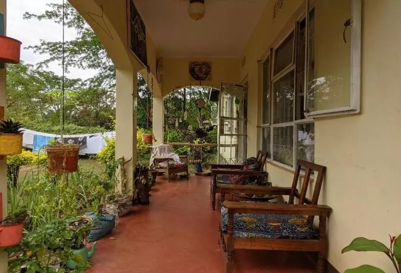 Backyard Hostel