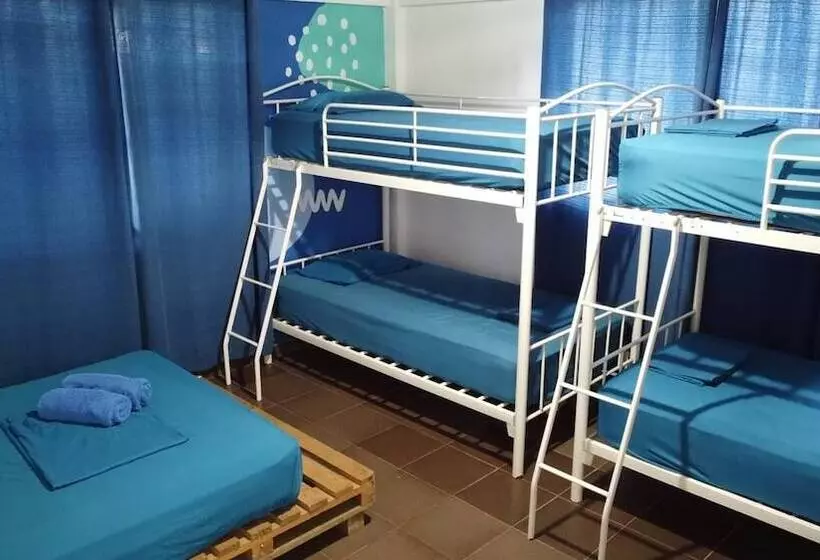 Aamiaismajoitus (B&B) Acuarela Hostal