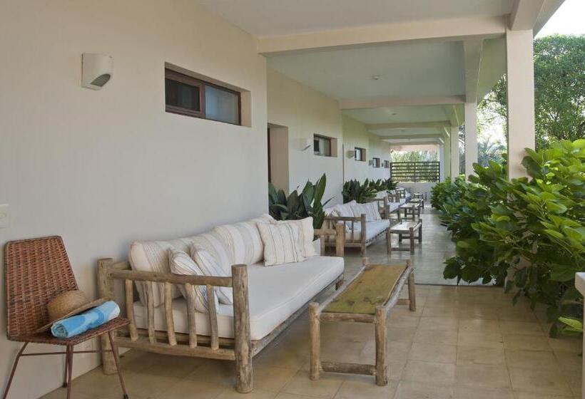 ベッドアンドブレックファースト Brisas De La Pedrera Hotel Boutique