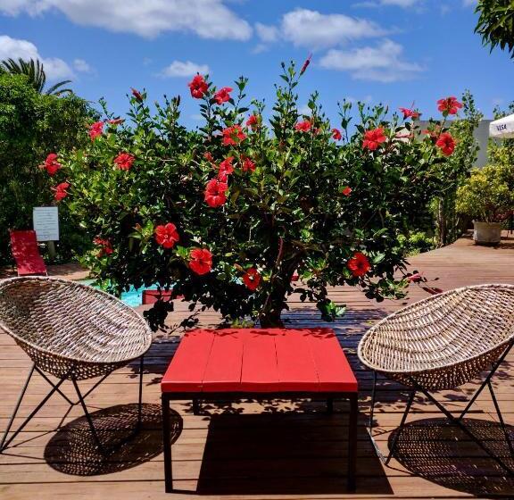 ベッドアンドブレックファースト Brisas De La Pedrera Hotel Boutique