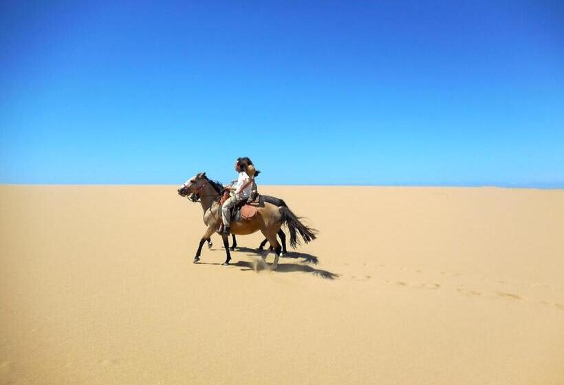 ベッドアンドブレックファースト Brisas De La Pedrera Hotel Boutique