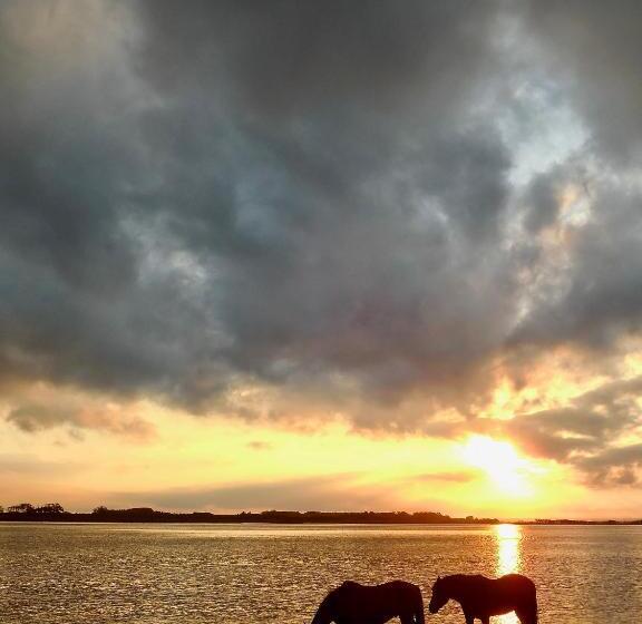 ベッドアンドブレックファースト Brisas De La Pedrera Hotel Boutique