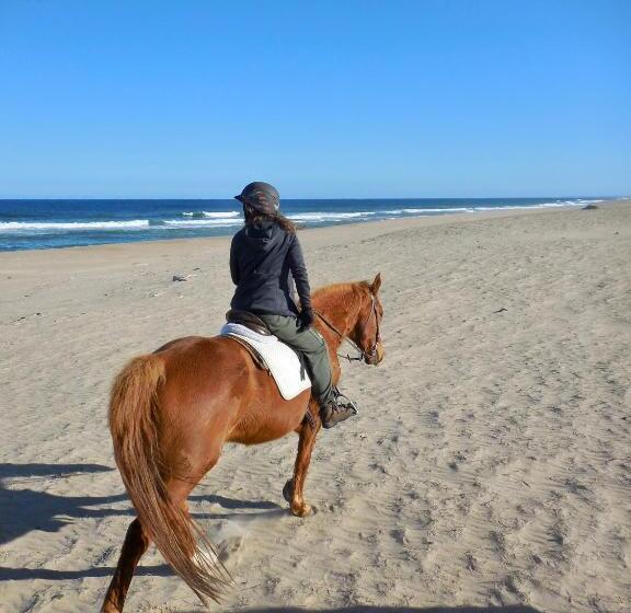 ベッドアンドブレックファースト Brisas De La Pedrera Hotel Boutique