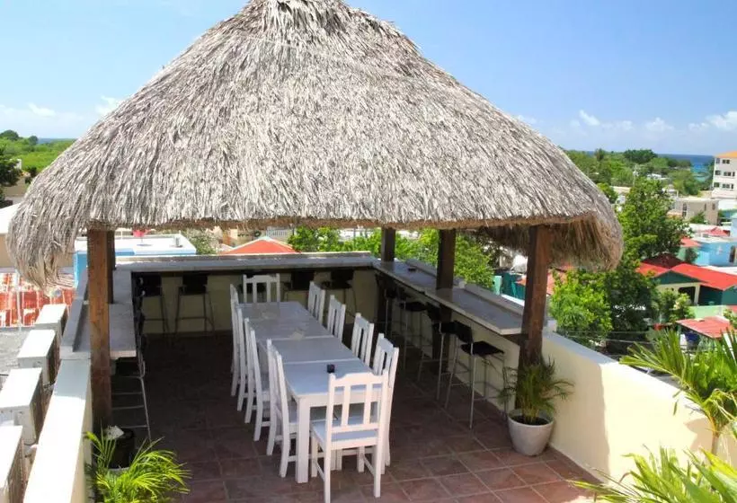 تختخواب و صبحانه Villa Iguana