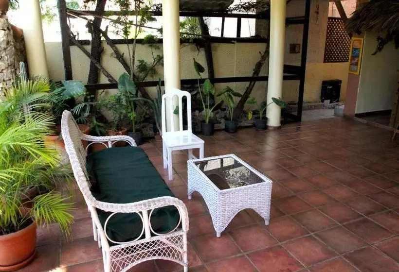 تختخواب و صبحانه Villa Iguana
