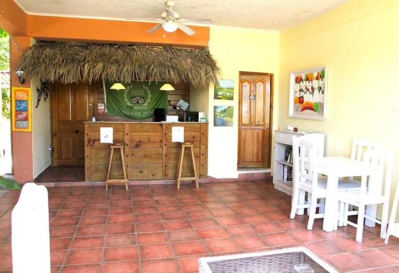 تختخواب و صبحانه Villa Iguana