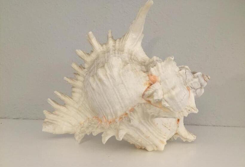 ホテル Conchiglia