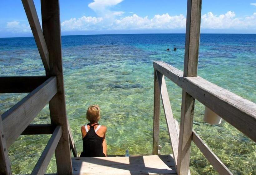 هتل Coral View Beach Resort