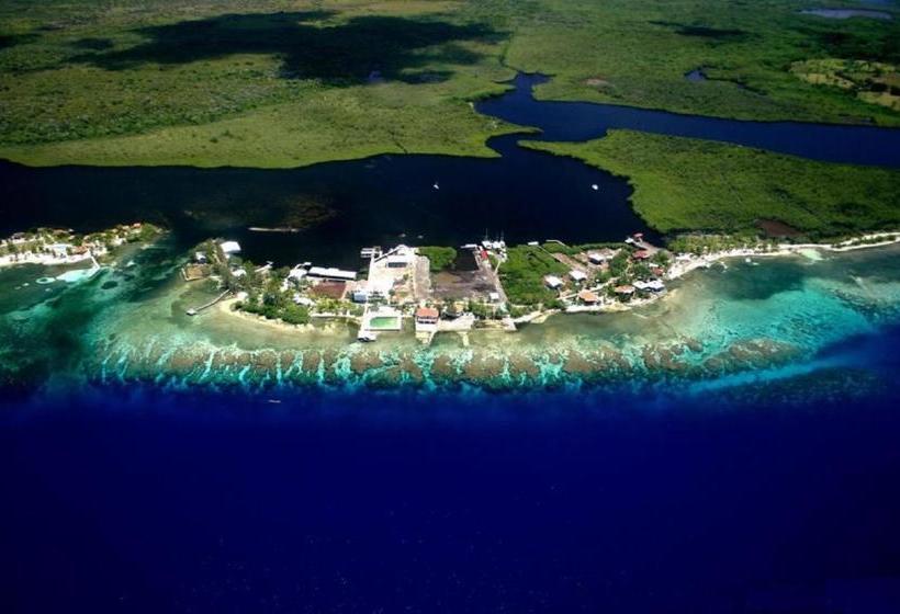 هتل Coral View Beach Resort