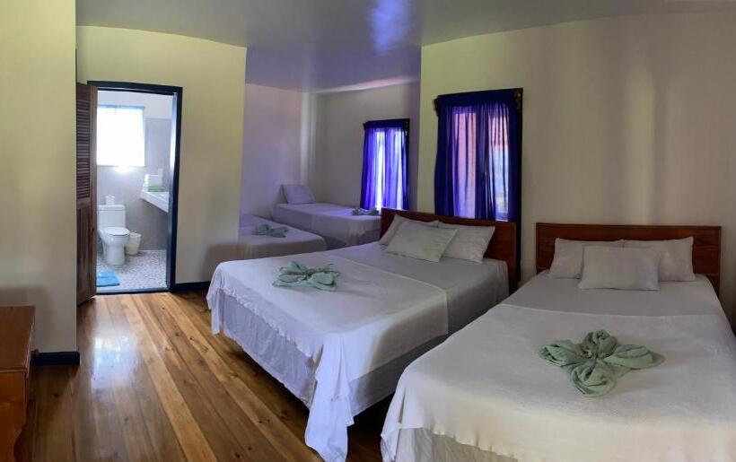 هتل Coral View Beach Resort