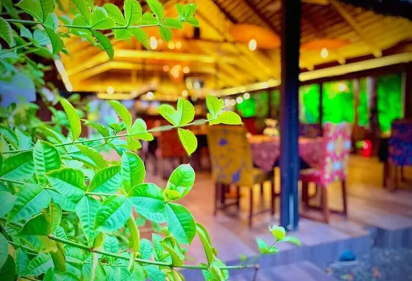 هتل Le Patio