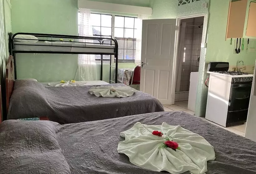 هتل Stephanie S Apartments Ltd
