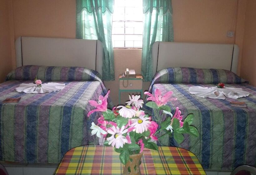 هتل Stephanie S Apartments Ltd