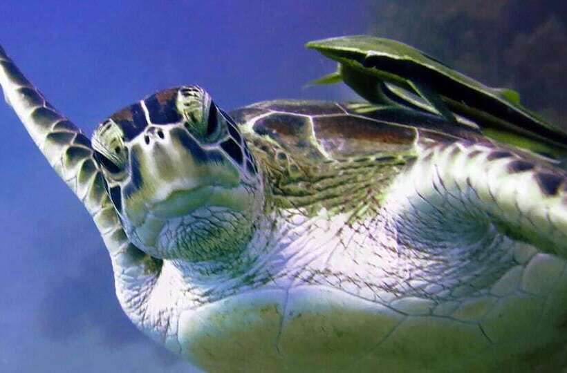 فندق Sunset Kendwa Beach