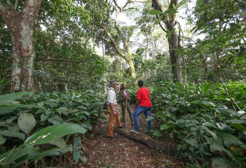 هتل Victoria Forest Resort