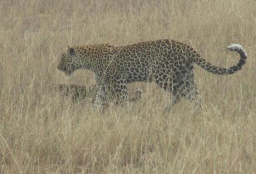 Sandton Hotel Kasese