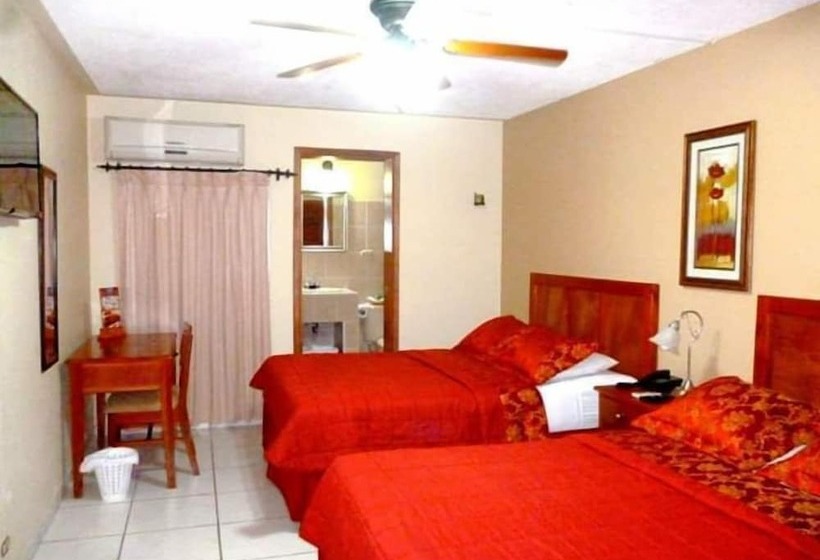 The Green Frog Inn Bed And Breakfast