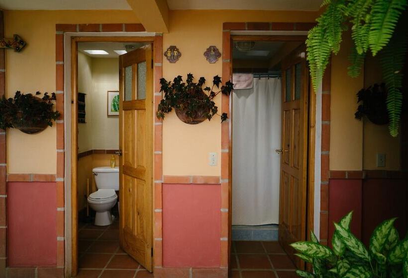 هتل Y Café La Casa Del Mundo