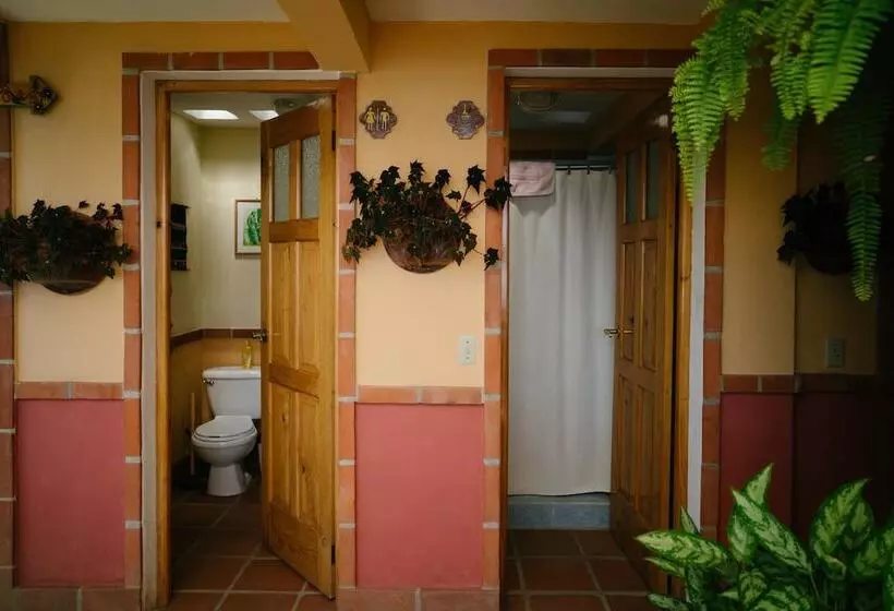 هتل Y Café La Casa Del Mundo