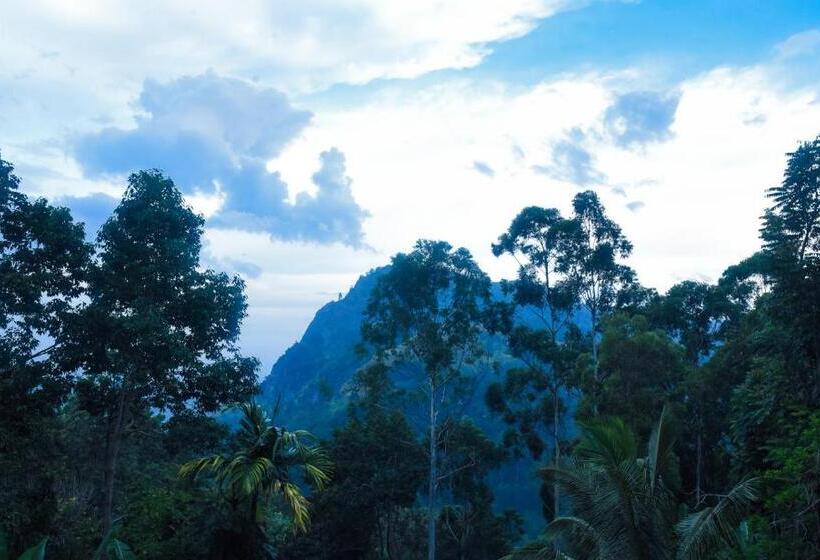 민박 Eco Salient View