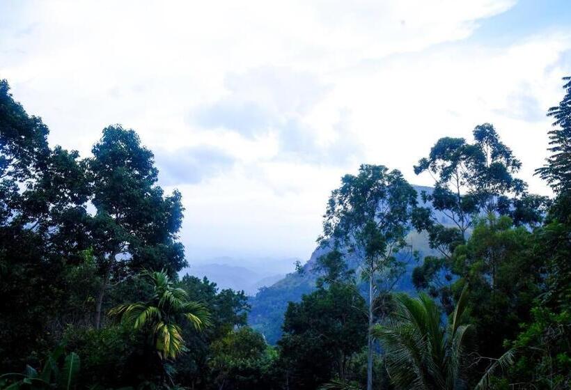 민박 Eco Salient View