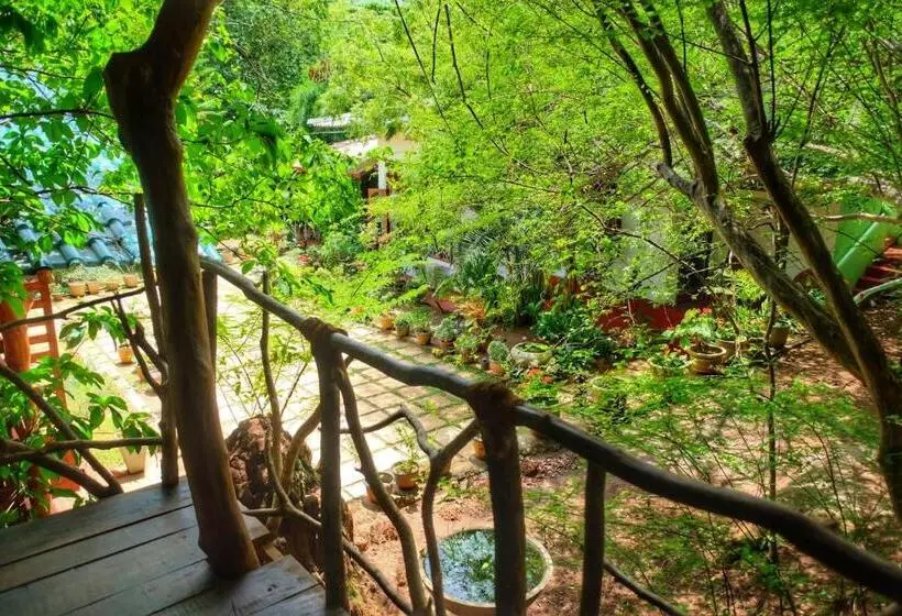 تختخواب و صبحانه Golden Rainbow Guest House